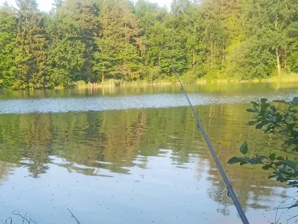Waldsee Buxheim