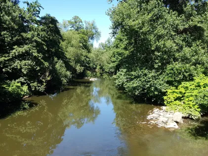 Wupper (Leverkusen)