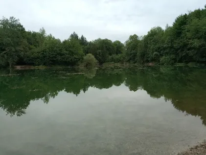 Ausee (Freilassing)