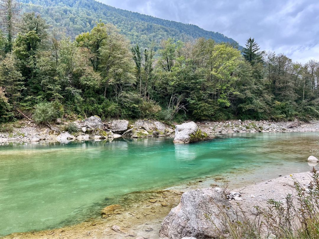 Soča (Tolmin) angeln