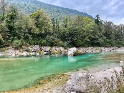 Soča (Tolmin)