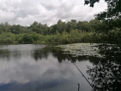 Siemser Moor