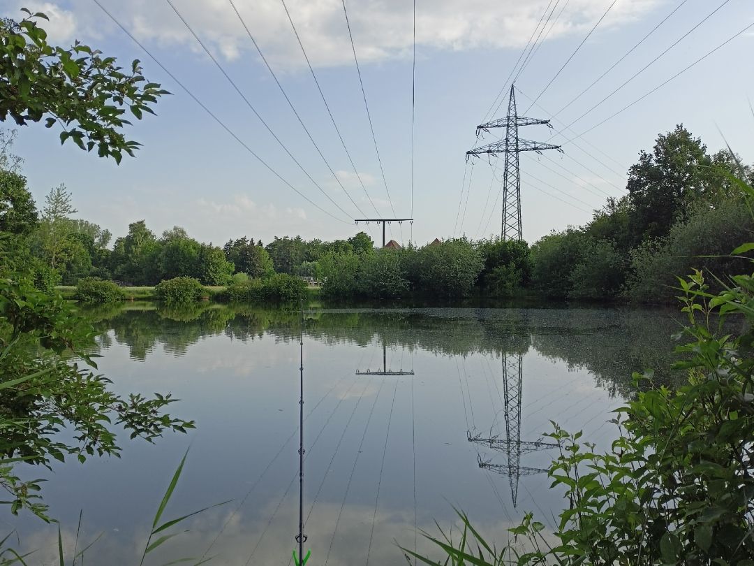 Mörzweiher angeln