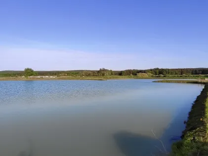 Frischenweiher (Weppersdorf)