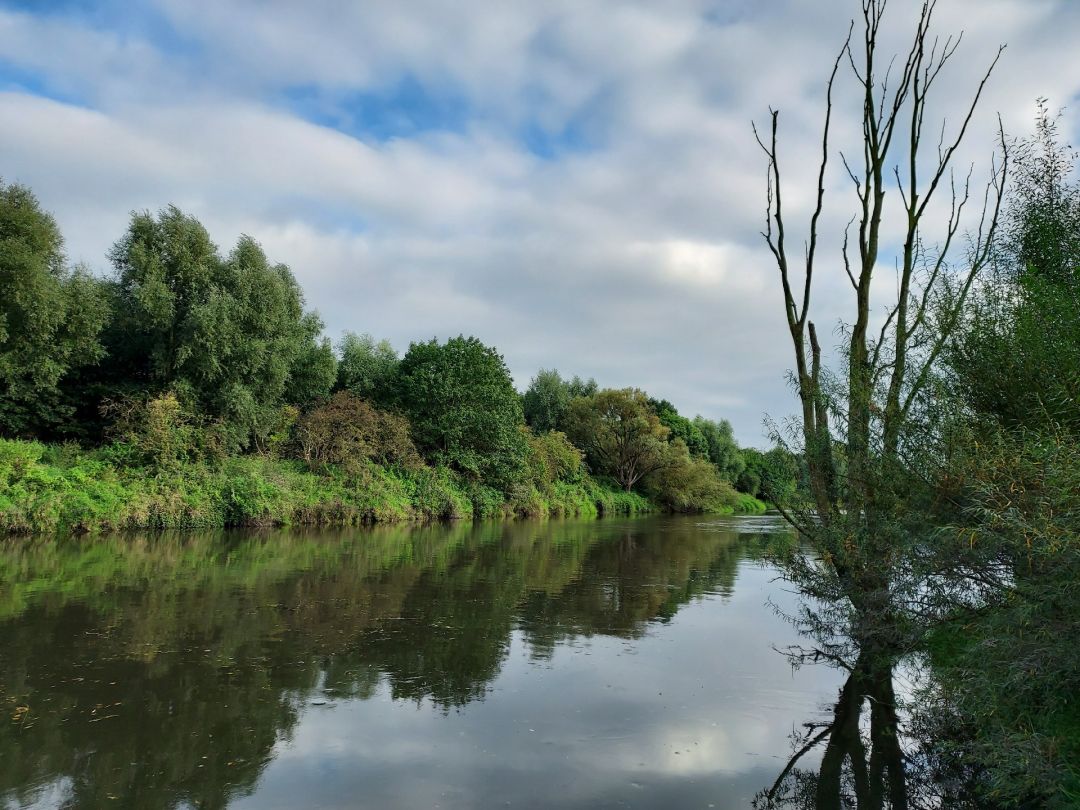 Lippe (Wesel) angeln