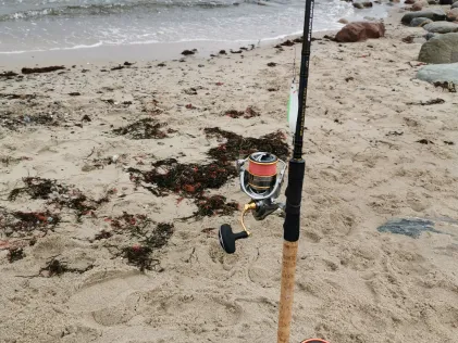 Ostsee (Süssau)
