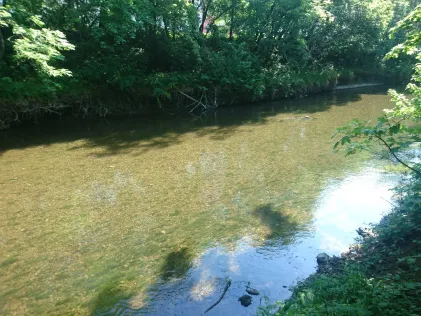 Gera-Flutgraben (Erfurt)