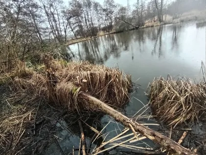 Torfkuhle an der Bahn (Kessin)