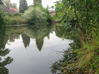 Böhme (Bad Fallingbostel)