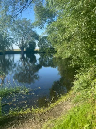 Dorfteich Bliesekow