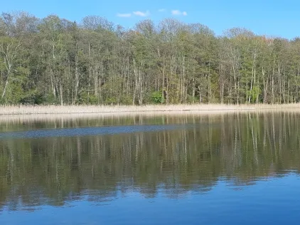 Polsensee