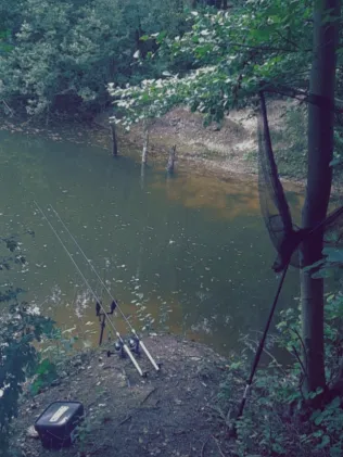 Waldsee Lünne