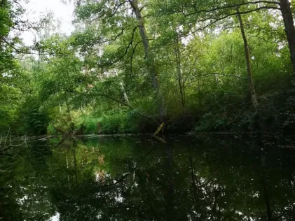 Ziegeleikanal Malliß