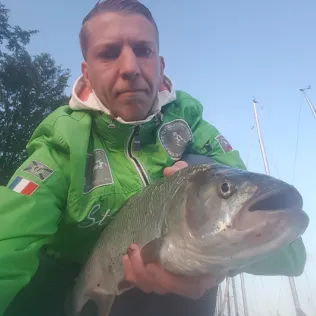 Ryck (Greifswald)