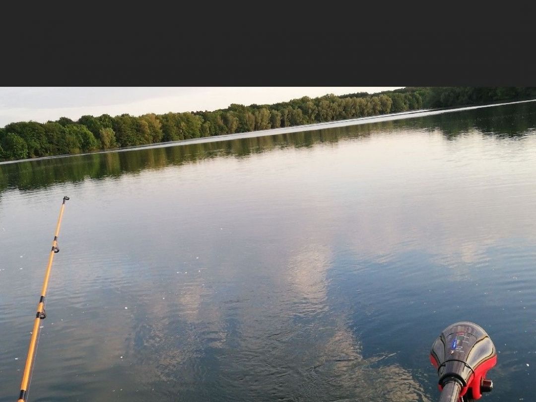 Lohheider See angeln