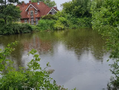 Kuhlenteich (Reinbek)