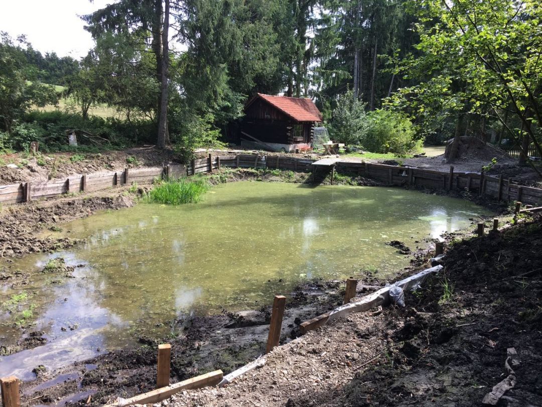 Fußbergweiher (Überacker) angeln