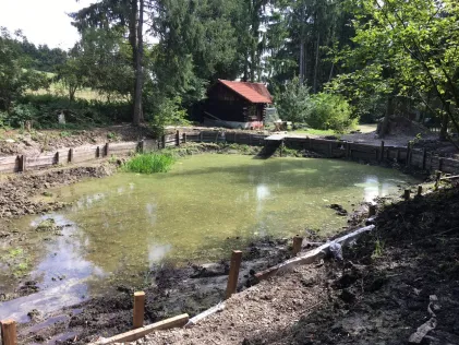 Fußbergweiher (Überacker)