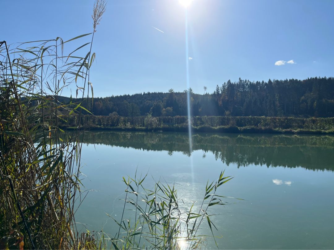Bruckensee (Gruol) angeln