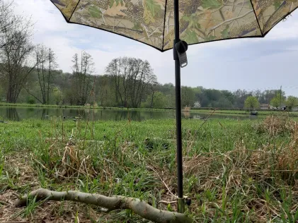 Teich Griedel