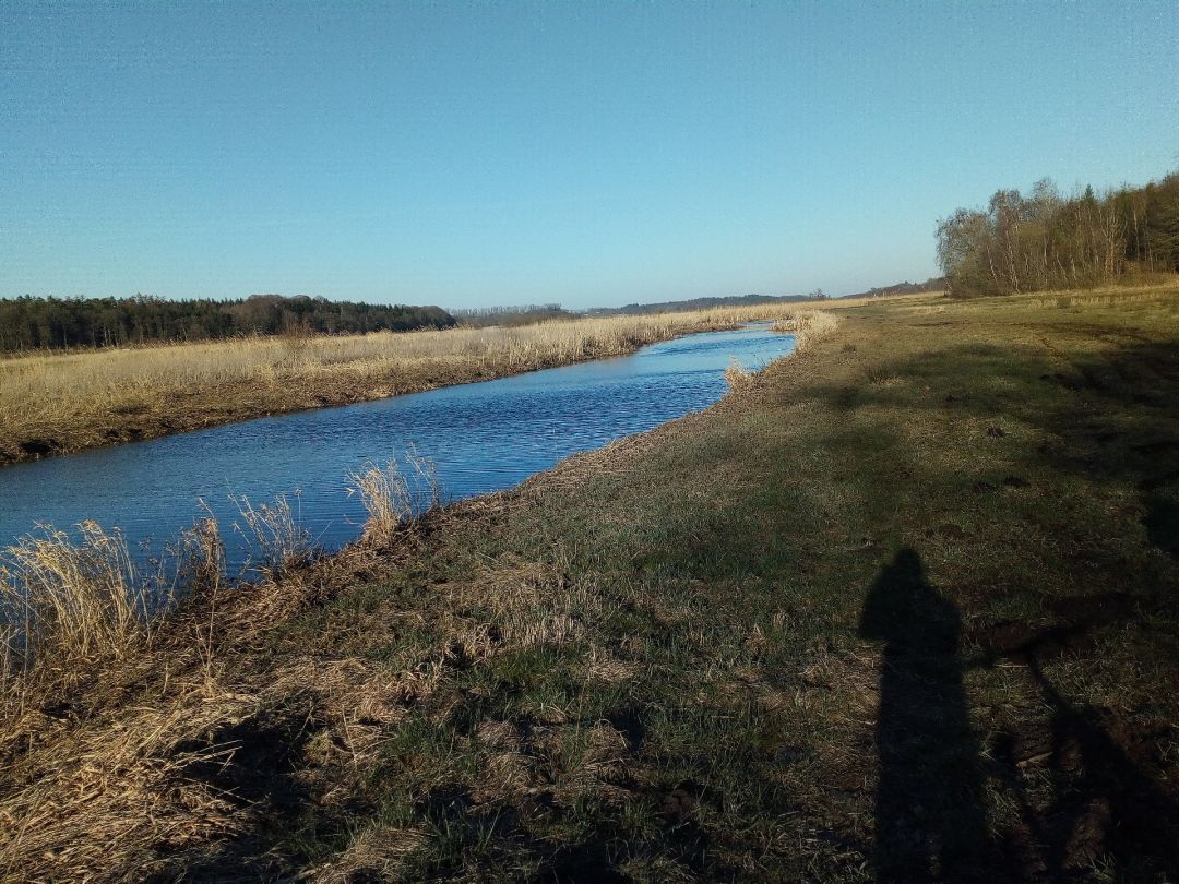 Recknitz (Bad Sülze) angeln