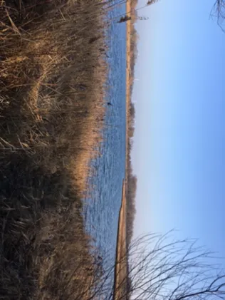 Athenslebener See