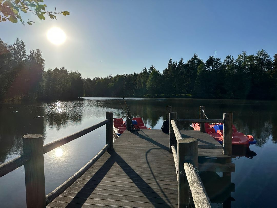 Dickhäuterweiher angeln