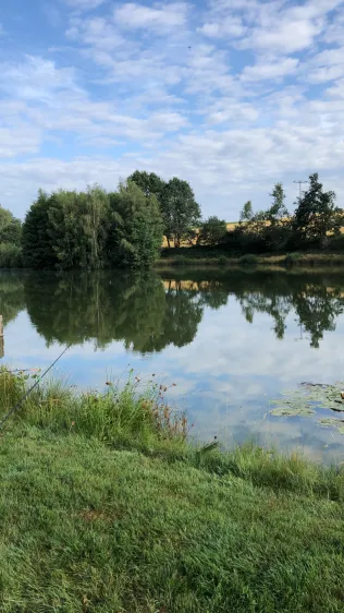 Teichanlage Gefrees