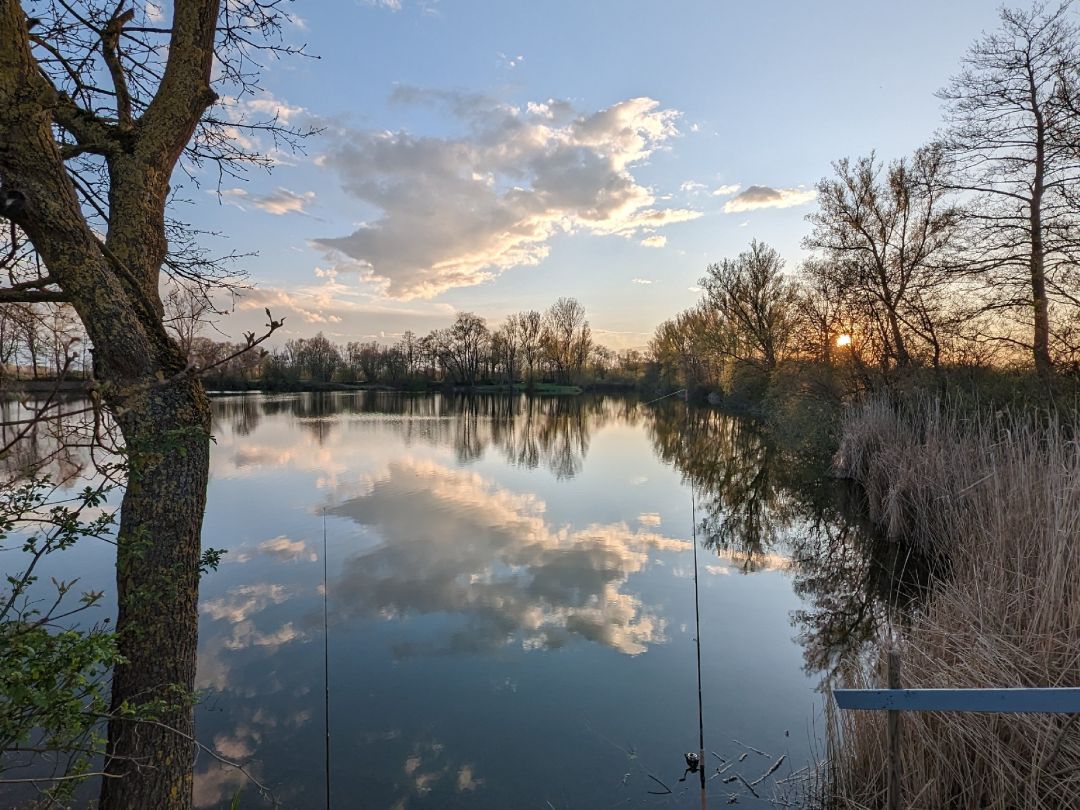 Mooshäuslweiher (SF Hebertshausen) angeln