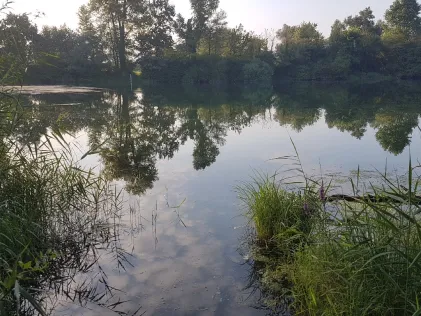 Altrhein Hügelsheim