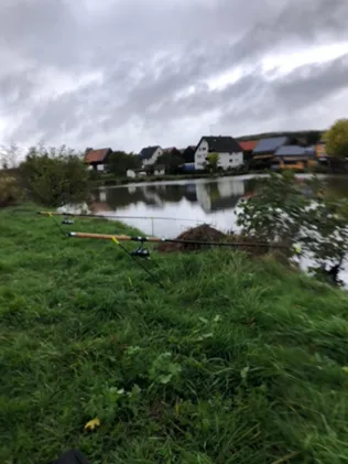 Dorfweiher Wimmelbach