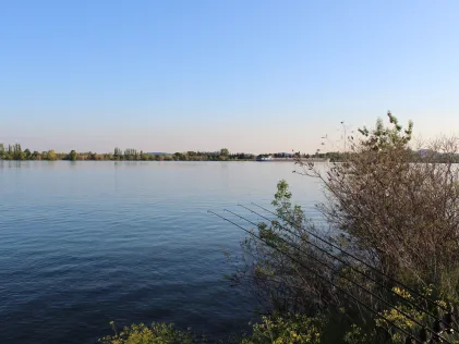 Rhône (Avignon)