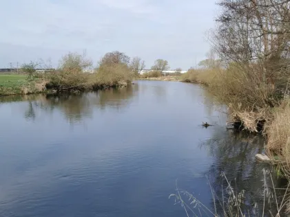 Donau (Pfohren)