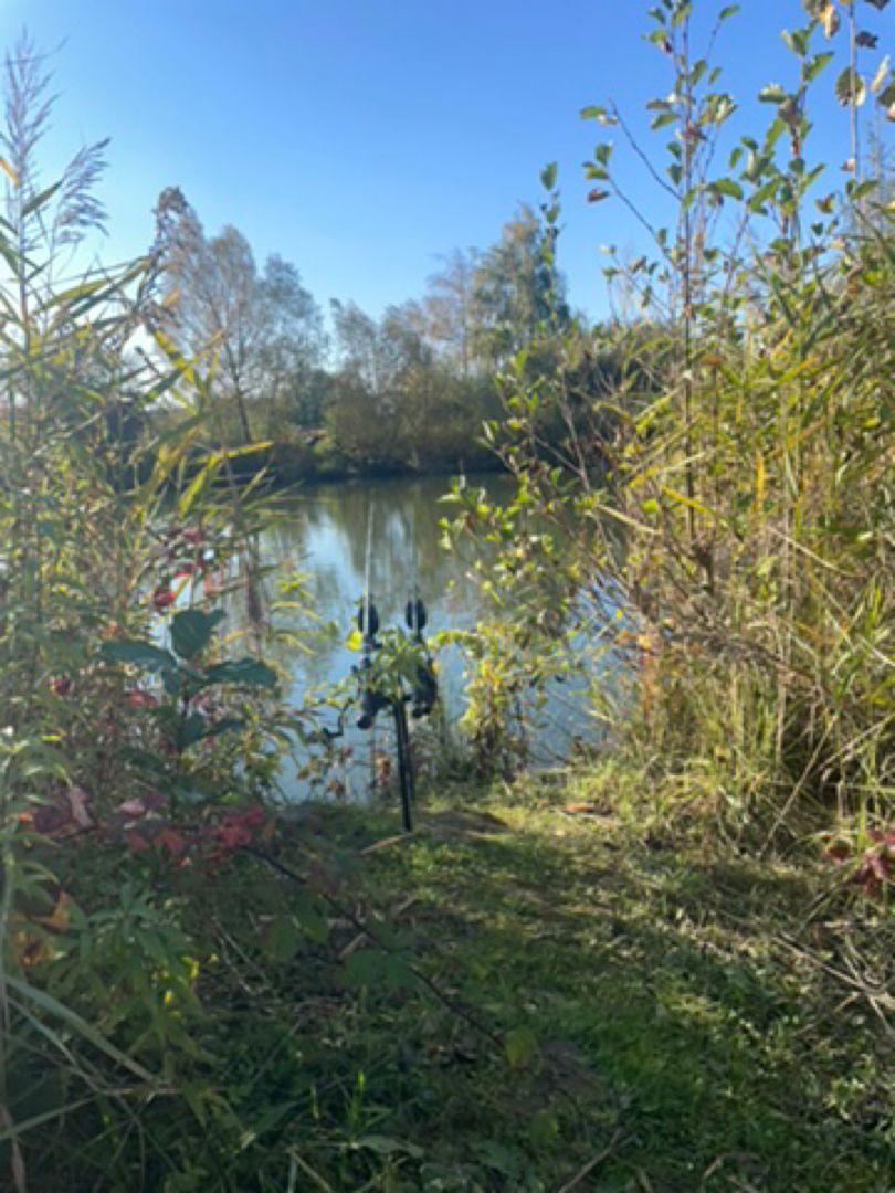 Löhlinsee (Bahlingen am Kaiserstuhl) angeln