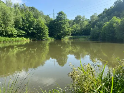 Hammerteich (Remscheid)