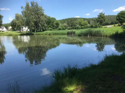 Stauweiher Dohm-Lammersdorf