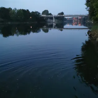 Donau (Ingolstadt)