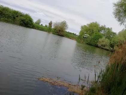 Wallersdorf Weiher 2