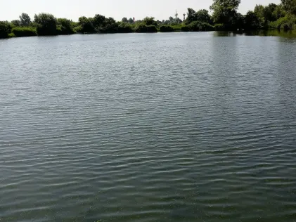 Kleiner Schwanensee (Rechtenfleth)