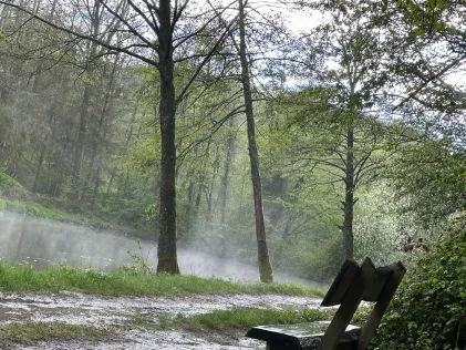 Lasbachweiher