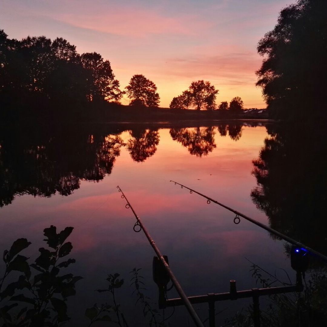 Traumsee (Langenzenn) angeln