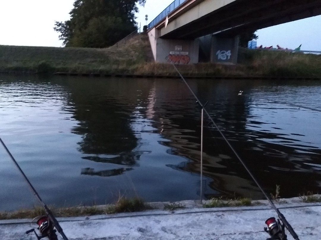 Schleusenkanal Langwedel-Etelsen angeln