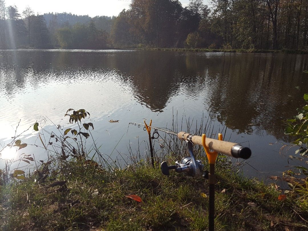 Großer Weiher Waizenreuth angeln