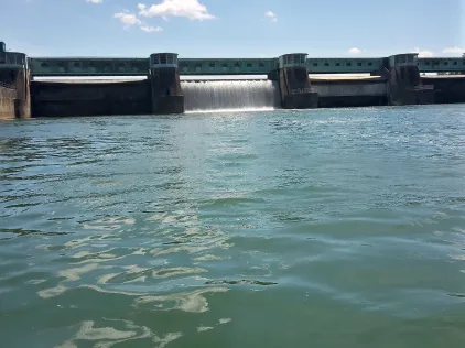 Rhein (Burkheim)