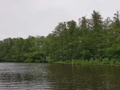 Gosener Kanal
