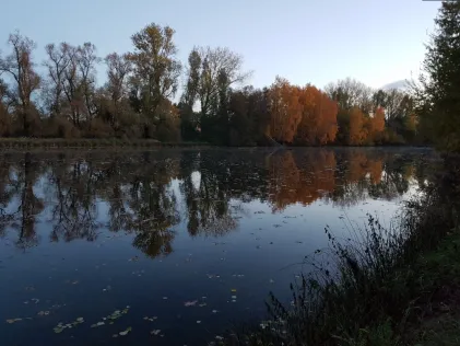Wiesensee (Ebstorf)
