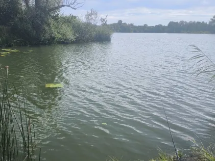 Donaurieder See