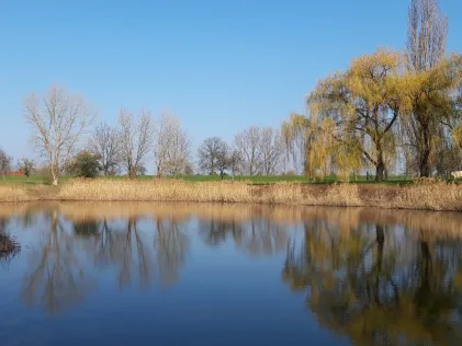 Dorfteich Kröllwitz