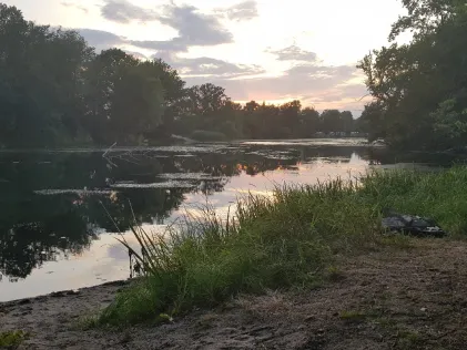 Alte Mulde (Roitzschjora)