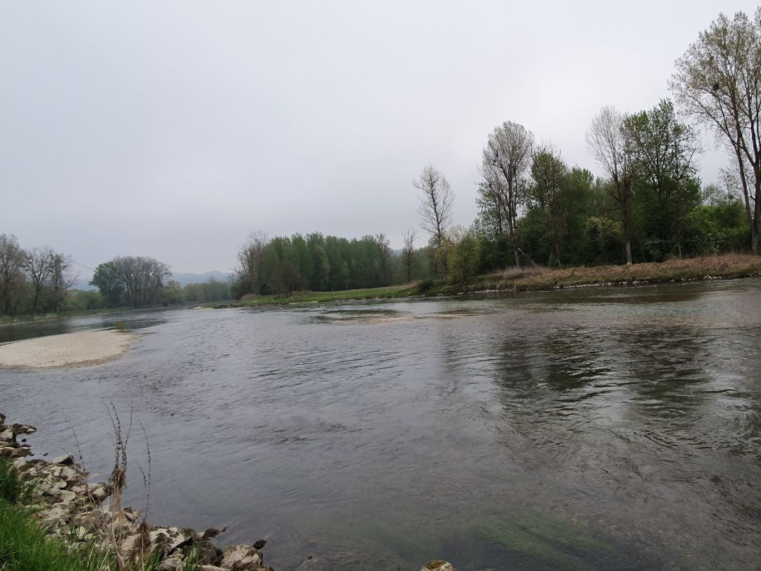 Isar (Deggendorf) angeln